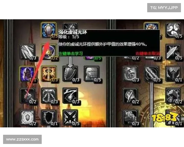 魔兽世界奶骑：打造最高伤害输出